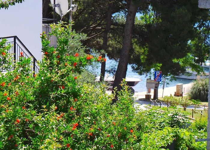 In - Istrien 10808 *